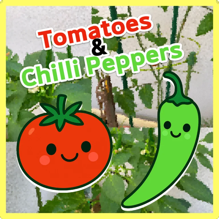 Tomatoes and Chilli Peppers!!